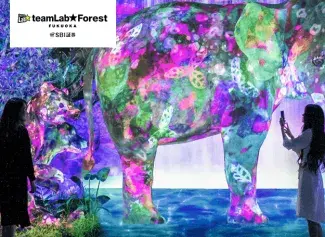 teamLab Forest Fukuoka